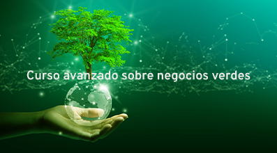 Curso avanzado sobre negocios verdes