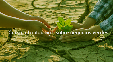 Curso introductorio sobre negocios verdes